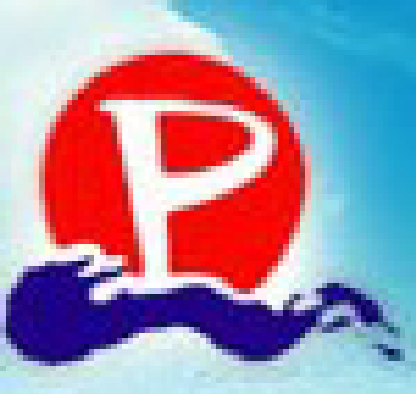 2011第19屆太平洋(哈爾濱)全國(guó)藥交會(huì)